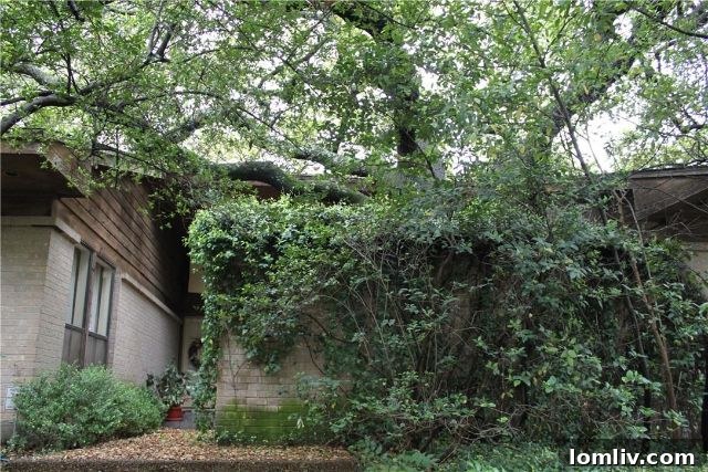 1970s Modern Home Neglect