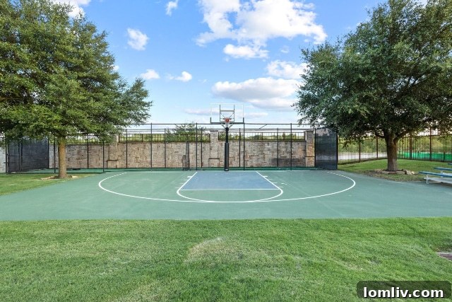 Private multi-sport court with basketball hoop and ample playing space.