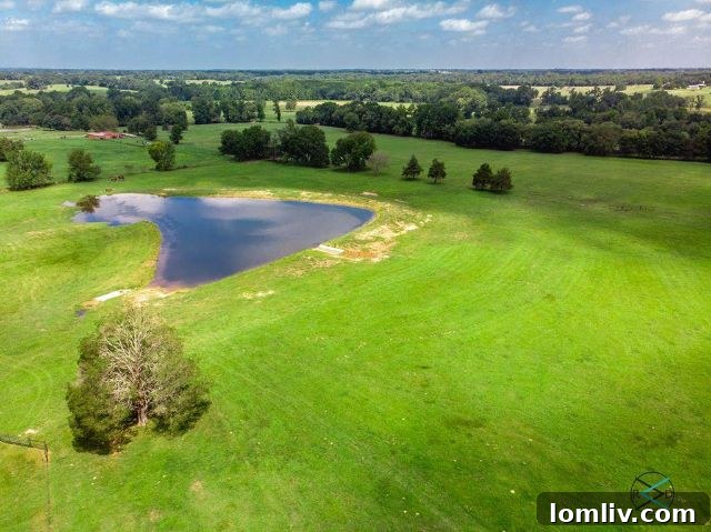 East Texas Ranch A Horse's Dream Playground 11 Expansive full-court dressage arena with a covered viewing deck