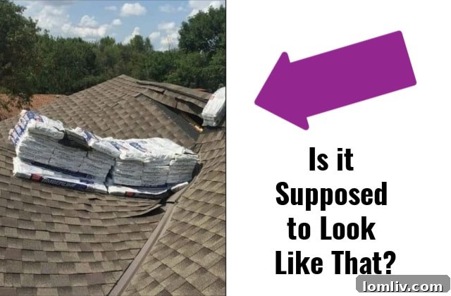 Professional Home Inspection Services