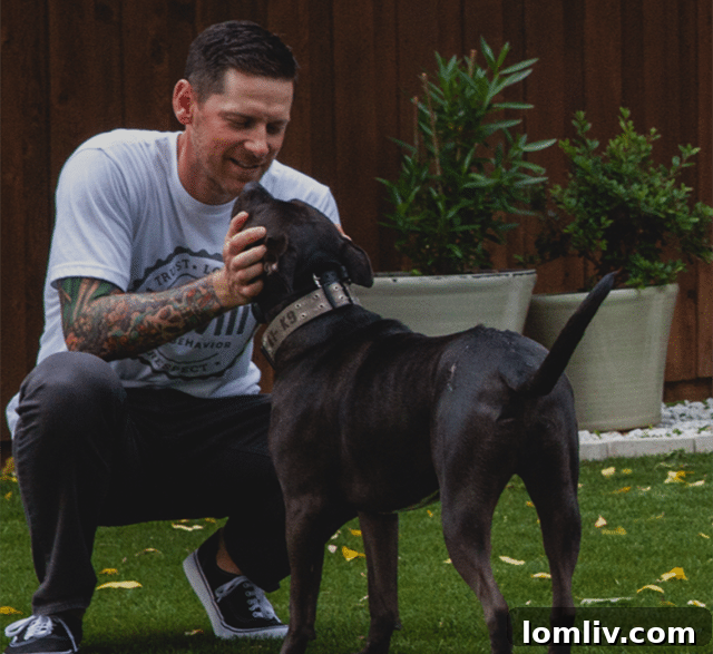 Brad Bevill forging strong bonds with dogs through expert behavior training