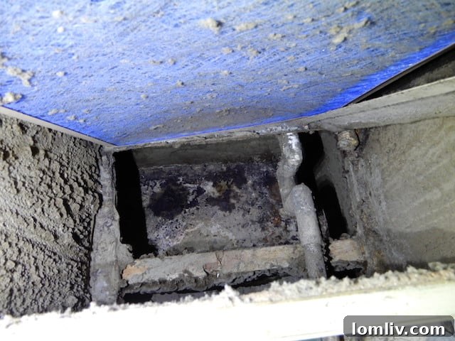 Dusty and moldy HVAC coils