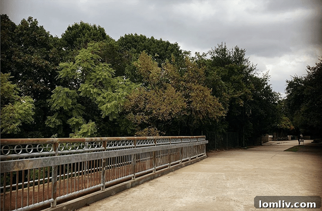 Katy Trail easily accessible from Park Towers in Dallas