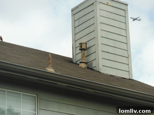 Water heater vent pipe installed too close to wooden siding on a chimney, creating a severe fire hazard.