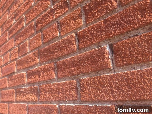 1632 MLK Jr. Blvd. historic brick building