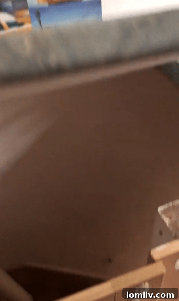 Screenshot: The lower half of the door, cleverly integrated below the countertop