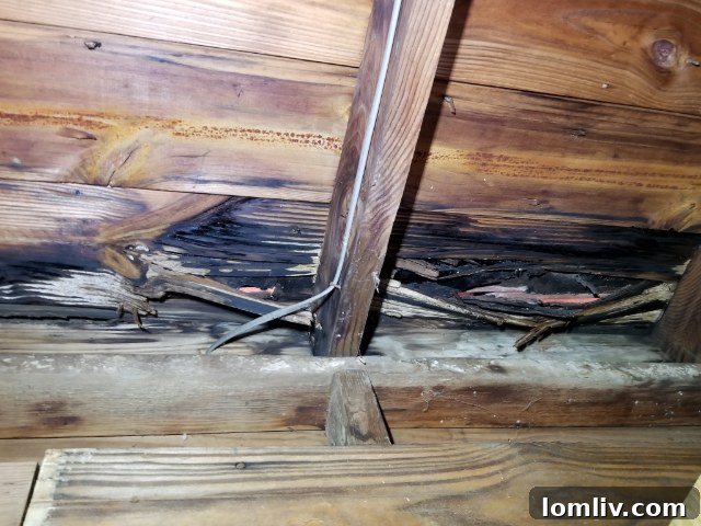 Unrepaired Fire Damage on Roof - A Hidden Hazard