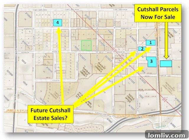 CS-Map-A