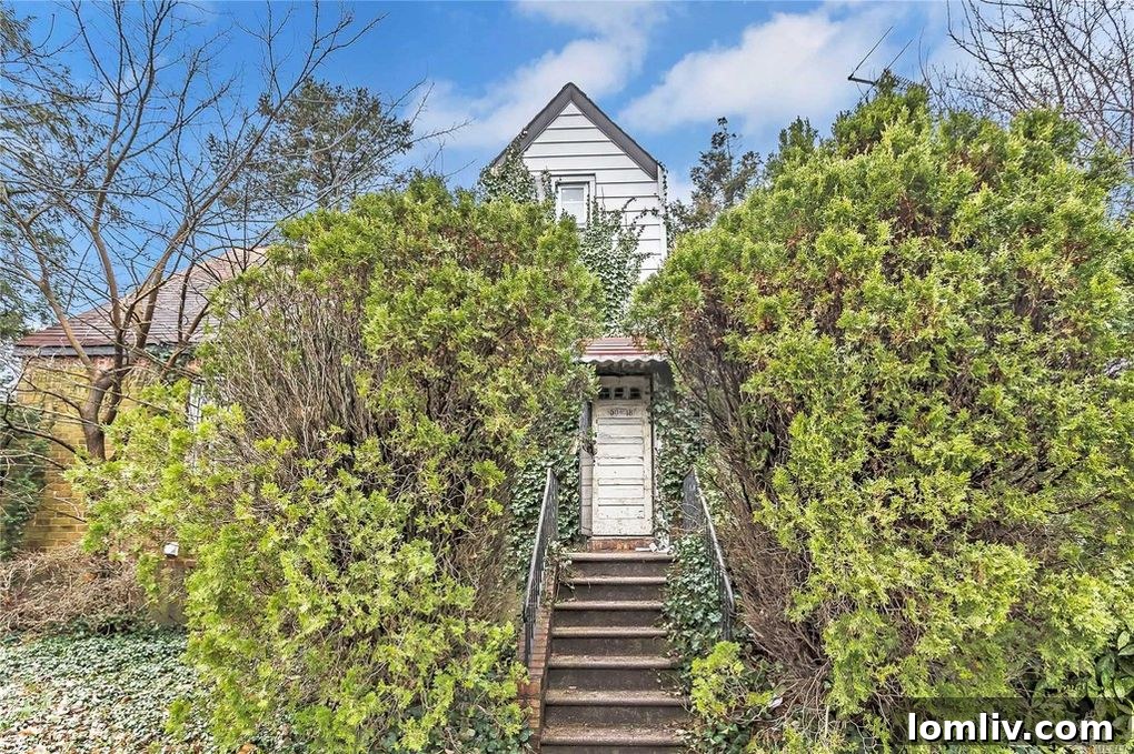 Overgrown and neglected backyard of the Fresh Meadows property