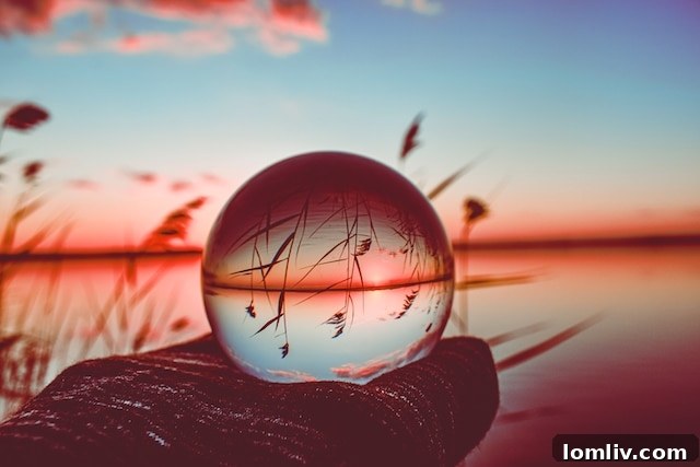 creative-crystal-lens-ball-photography-lake-with-tall-greenery-around
