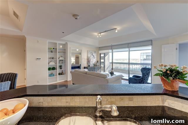 The Shelton Dallas Unit 908 kitchen
