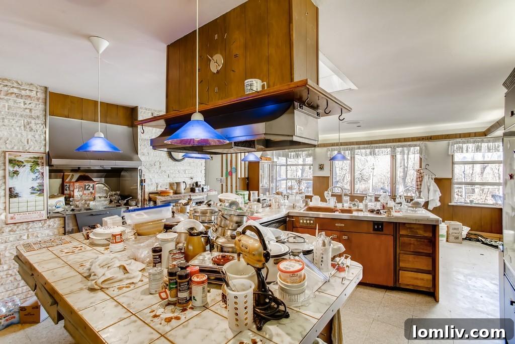 The kitchen's potential is completely hidden under disarray and neglect.