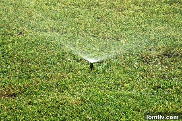 Identifying Lawn Stress and Needs