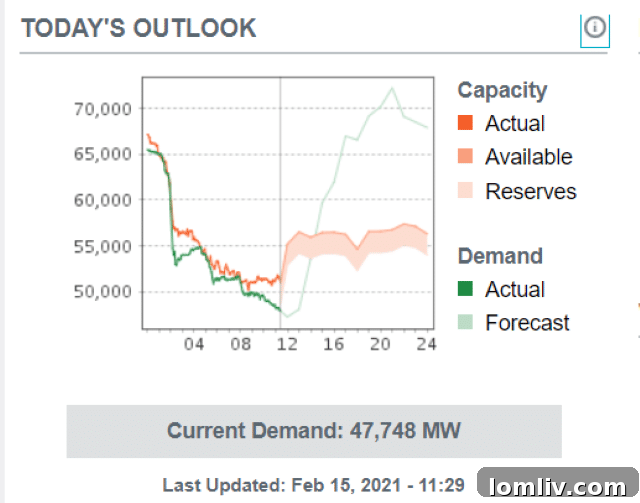 ERCOT Real-Time System Conditions During Texas Winter Storm