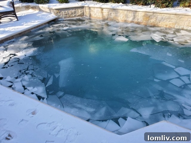 frozen-pool