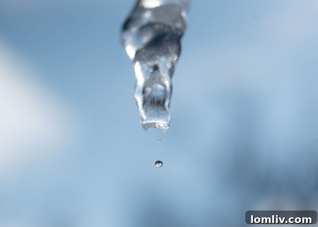 Texas Winter Storm Recovery: Ice melting, but help is just beginning.