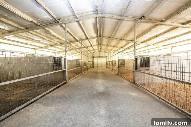 Bluestem Ranch mare wing with 10 stalls