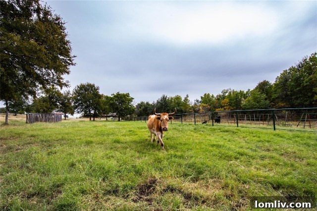 Rolling green pastures of Bluestem Ranch