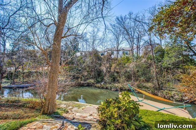 Lyre Lane Backyard View