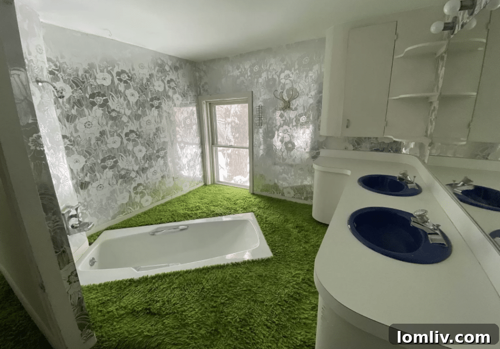 Carpeted Bathroom 1