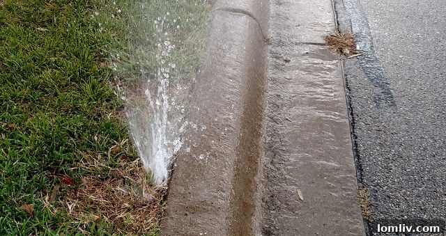 Perform a Pro-Grade Sprinkler System Audit 2 broken-head