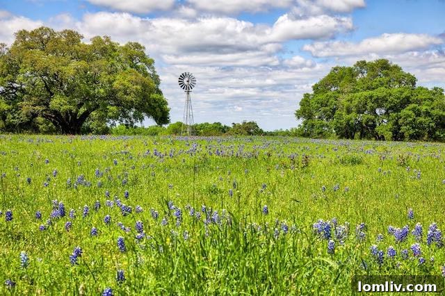 Scenic view of a ranch home in Brenham, Texas, surrounded by green landscape