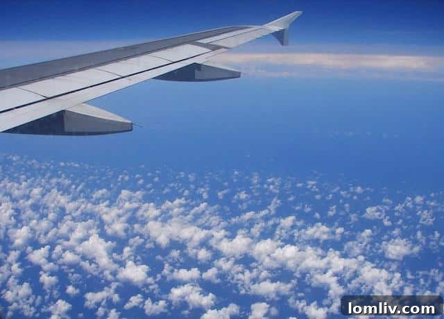 plane-wing-sky-clouds-airplane-13782