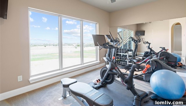 Home Gym at 216 Nueces Trail