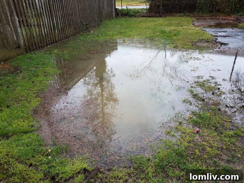 Water accumulation in a North Texas backyard
