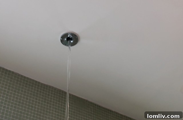 Water Leaking from Downstairs Light Fixture