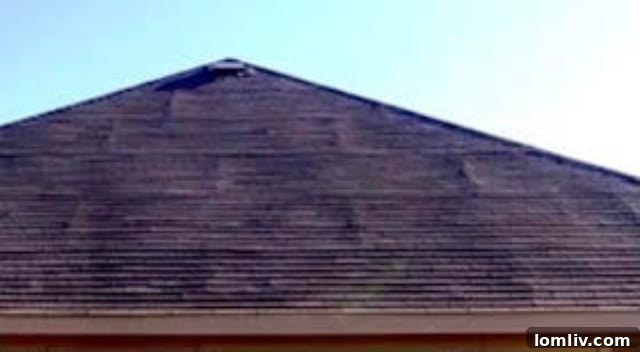 Buckling Roof Shingles Found During Warranty Inspection