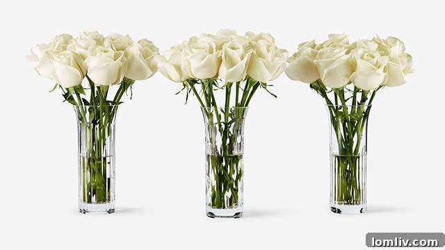 Flower Box Baccarat Rose Vase Set with Avalanche roses