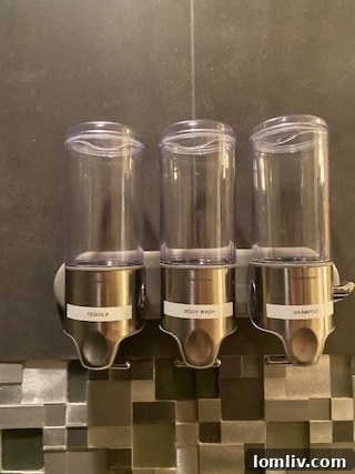 Humorous Bathroom Dispenser Findings from Home Inspections
