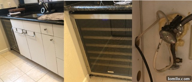 Kitchen Renovation Priorities: Wine Fridge vs. Dishwasher