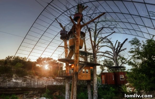Eco-designed treehouses at Cypress Valley, nestled among ancient cypress trees