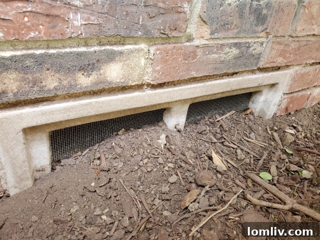 Crawl Space Ventilation: Preventing Moisture, Mold, and Pests in Your Home