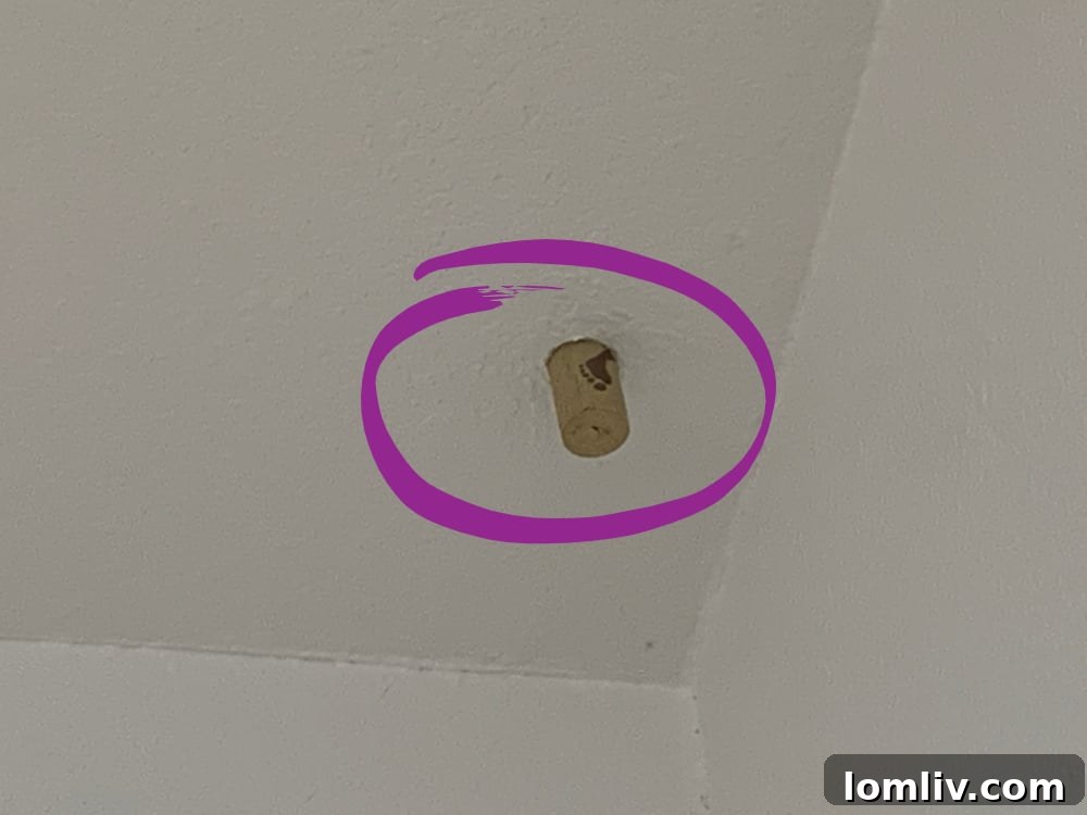 Epic Effort In The Face Of DIY Failure 3 A wine cork used to plug a hole in a ceiling, a temporary and ineffective solution.