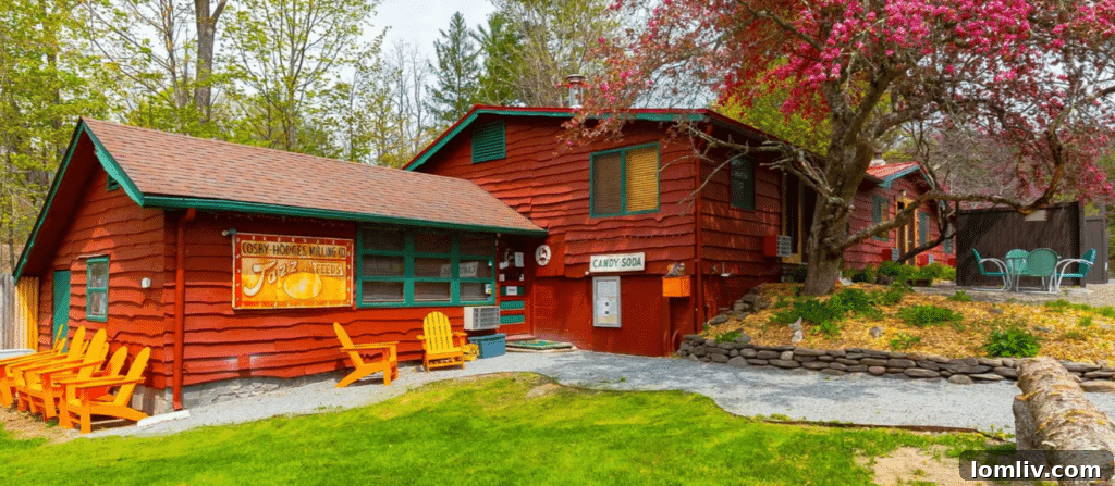 Interior of a retro-furnished cabin at Kate Pierson's Catskills resort