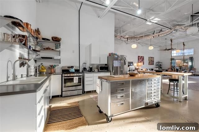 Spacious Open Concept Living in 1105 Levee Street