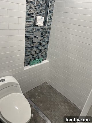 Defying the Dog Days Laughters Lifeline for Home Inspectors 6 A bathroom with a shower head positioned directly over the toilet, showcasing an unusual and highly efficient space-saving design.