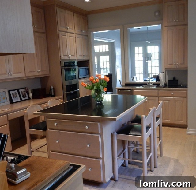 Gourmet Kitchen in a Furnished Luxury Home, Highland Park