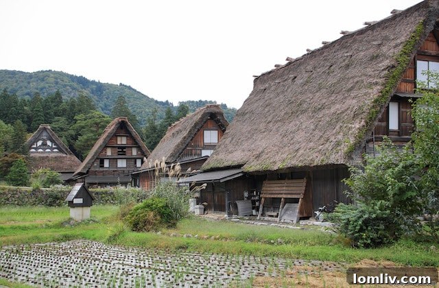 shirakawa-go-15