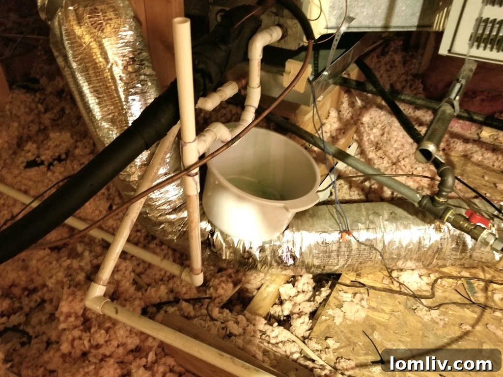 Water's Sneaky Secrets: Find the Source, Save Your Structure 5 Leaking HVAC Condensate Line and DIY Fixes