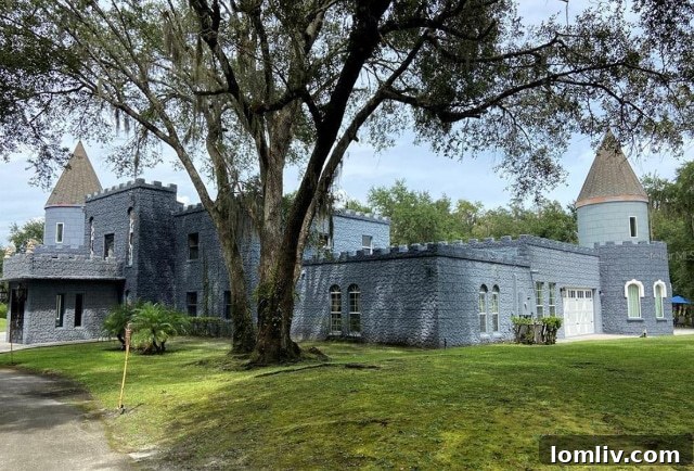 The Florida castle's exterior, showcasing a common garage door