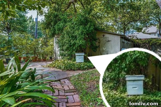 English cottage with a vibrant garden and its own beehive