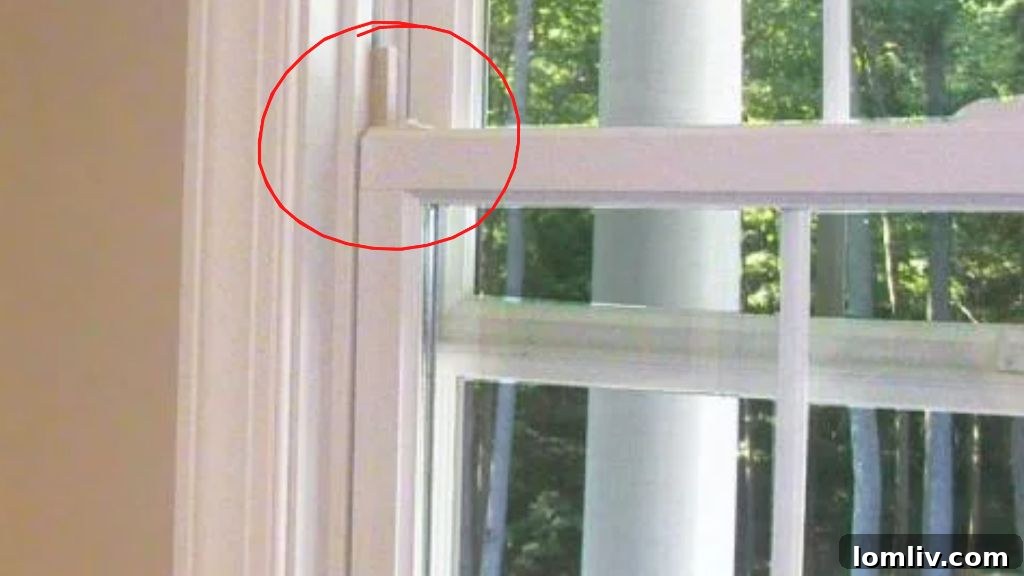 Texas Home Inspection - Window Safety