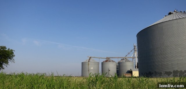Preserving Prosper's Heritage: The Future of Remaining Silos