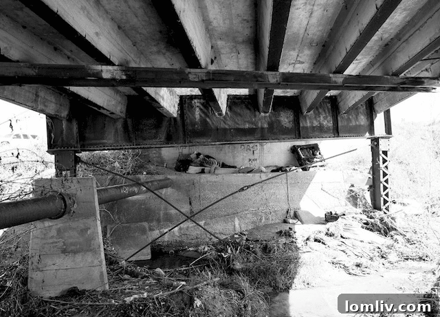 View Underneath the Historic Handley Overpass in 2020