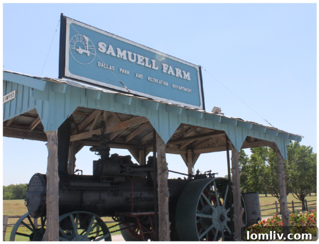 Children participating in outdoor activities at Samuell Farm