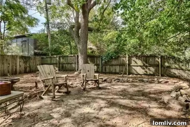 Backyard of 3800 Genessee Street, Kansas City, Missouri